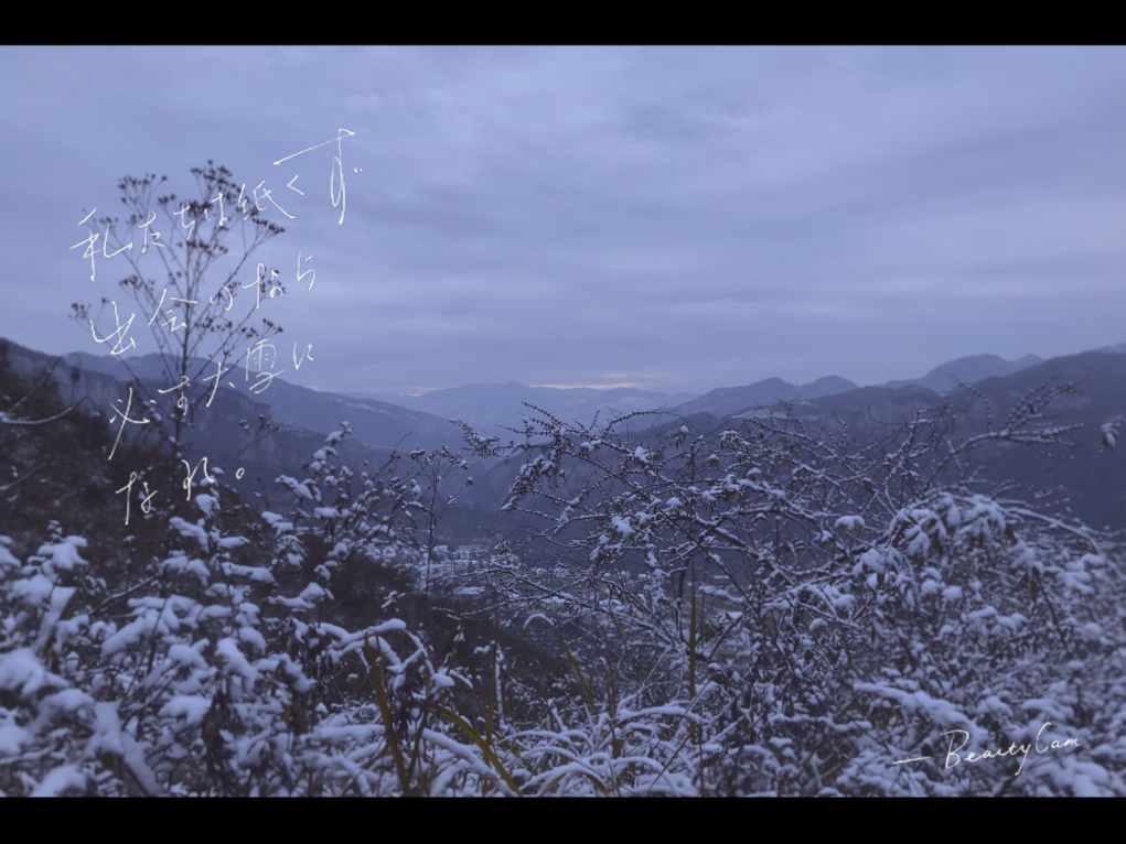 探索怎么样才算不敷衍别人?,解答你的疑问!